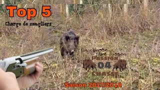 TOP 5 de charge de sangliers Attack of Wild Boar [upl. by Ennovahc438]