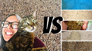 Cat litter I use vs other litters [upl. by Daniala]