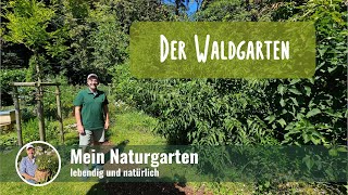 Rundgang Waldgarten im Naturgarten 🌳 [upl. by Wertz630]