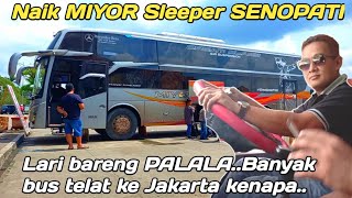 Naik bus MIYOR DG GELAR SENOPATI [upl. by Corinne]