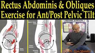 Rectus Abdominus and Obliques Core Exercise for Anterior and Posterior Pelvic Tilt  Dr Manell [upl. by Glynis711]