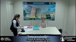 Sorteo de Expedientes del Tribunal de Apelación Penal  12112024 [upl. by Bussey]