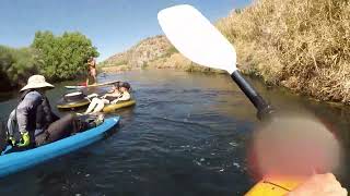 Lower Salt River Kayaking June 3 2024 [upl. by Ssegrub]