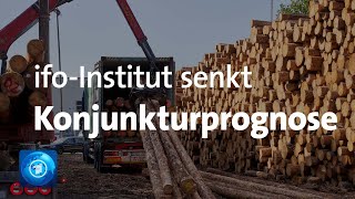 Wirtschaftsforscher senken Konjunkturprognose [upl. by Rodama]