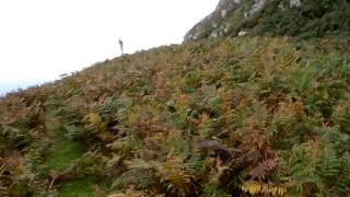 Climbing Ailsa Craig  1110ft volcanic plug  Charli Davidson [upl. by Nallad458]