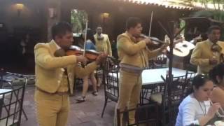 El Abajeño en Tlaquepaque con el mariachi [upl. by Ambrogio]