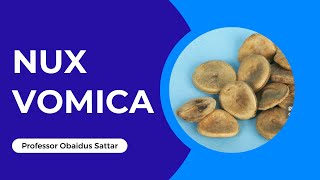 Nux Vomica  Homeopathy Remedy [upl. by Ori]