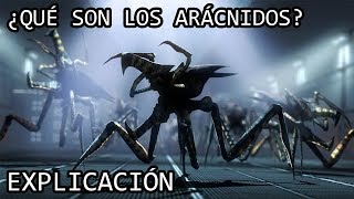 ¿Qué son los Arácnidos de Starship Troopers EXPLICACIÓN  Los Arácnidos y sus Variantes EXPLICADOS [upl. by Leakim]