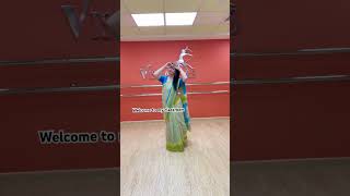 Anarkali Disco Chali Saree Dance  Vishakha Verma vishakhasdance sareedanceteacher [upl. by Panaggio]