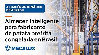 Almacén automático autoportante con el sistema Pallet Shuttle automático en Brasil [upl. by Atikkin]