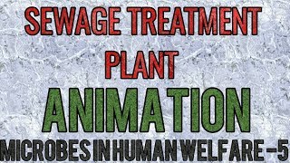 Sewage waste water treatment plant ANIMATION SIMPLIFIED for NEET and AIIMS [upl. by Lenka641]