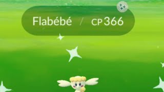 Shiny flabebe  Unreleased Shiny ✨ Pokémon flabébé  Pokémon Go [upl. by Supmart]