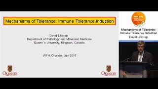 Mechanisms of Tolerance Immune tolerance induction [upl. by Elsilrac]