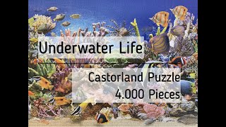 Doing the 4000 Pieces Jigsaw Puzzle quotUnderwater Lifequot by Castorland a Time Lapse Video [upl. by Hescock]