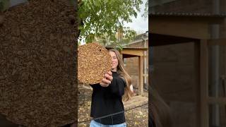 DIY Block Treat For Chickens backyardhomestead makeyourown diy chickenkeeping recipe chickens [upl. by Janus]