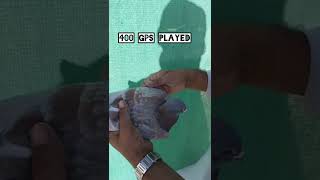 400 GPS played pigeon [upl. by Adnorrahs]