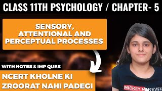 Sensory Attentional and Perceptual Processes Class 11 Psychology Chapter 5 One Shot Explanation [upl. by Wilie256]