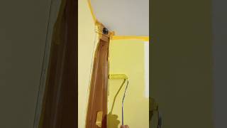 how to paint walls how paint painting walls work mywork job building [upl. by Hsot612]