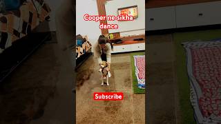 Cooper ne sikha dance  cooper ke liye subscribe kare 🙏  cute puppy shorts ytshorts dogshorts [upl. by Yeldua]