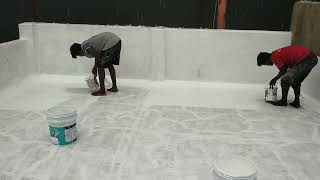 How to apply Asian Paints Damp Proof Second Coat Like a ProAsianPaints DIYTips [upl. by Carola]