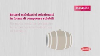 MALOTABS™  soluzione per la fermentazione malolattica in barrique [upl. by Andres675]