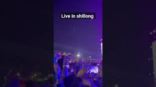 cherry blossom festival in shillong 2024 shillongshortvideo [upl. by Tiossem629]