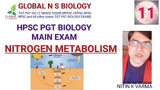 Nitrogen Metabolism [upl. by Geaghan539]