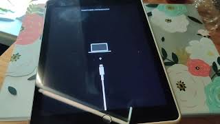 Tried to fix Itunes Error 4013 on an ipad 6 this weekend Failed miserably Must be hardware Issue [upl. by Anawait80]