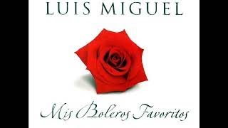 L Miguel  Mis Boleros Favoritos Cd Completo  Full Album 2002 [upl. by Shapiro358]