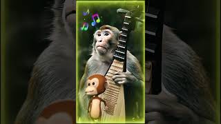 The Wild Macaque Monkey Fun Factory In Nature [upl. by Gerek35]