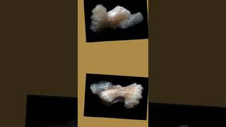 PERFECT BOW FORMATION STILBITE  RARE SPECIMEN [upl. by Eelam]