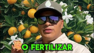 Con que fertilizar para la floración en cítricos dulces 🍊🔝🌸 [upl. by Teloiv]