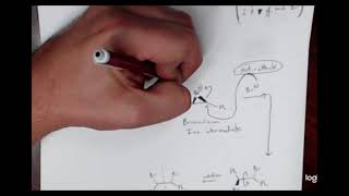 Organic 1 Lab Bromination of E Stilbene Prelab [upl. by Rosinski972]