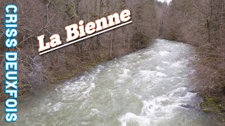 Ambiance de Fond  Rivière  Longchaumois  La Bienne  Jura  Affluent  FrancheComté  France [upl. by Naujahs]