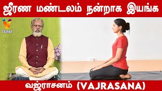 ஜீரண மண்டலம் நன்றாக இயங்க வஜ்ராசனம்  Vajrasana  Krishnan Balaji  Daily Yoga [upl. by Gunar50]