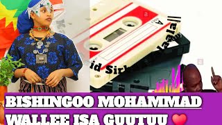 Bishingoo mohammad Oromo music Sirboota isa Guuttuu full album [upl. by Ashraf]