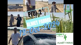 ALMET Farms Project 2  12th October Update  Monthly review euclaptus replanted Thal hyderbad [upl. by Yardley]