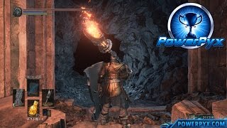 Dark Souls 3  Where to find Untended Graves Secret Area Untended Graves Trophy Guide [upl. by Runstadler]