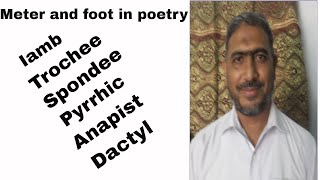 What is Meter in Poetry  Iamb  Trochee  Spondee  Anapest  Feet  Beats syllables Types [upl. by Arec658]