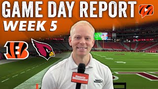 Game Day Report Cincinnati Bengals at Arizona Cardinals  NFL Week 5 [upl. by Jackquelin523]