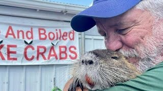 Beloved nutria rat allowed to stay with adopted family in Bucktown [upl. by Enilaf309]