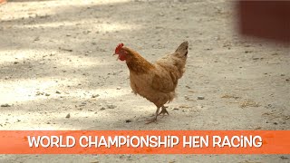 The World Hen Racing Championships [upl. by Hachmann820]