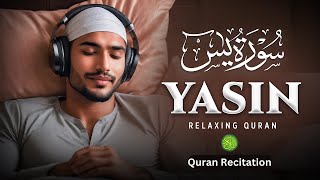 Relaxing Recitation of Surah Yasin Yaseen سورة يس  CALM VOICE  Quran Recitation [upl. by Kali]