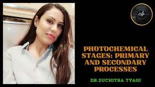 PHOTOCHEMICAL STAGES PRIMARY AND SECONDARY PROCESSES [upl. by Mandle]