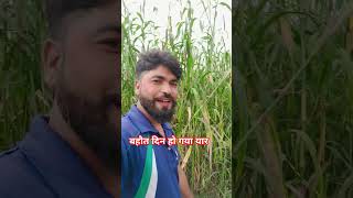 यारी में कौन क्या है यार क्या जाने short viral hindi song bajada [upl. by Valery344]