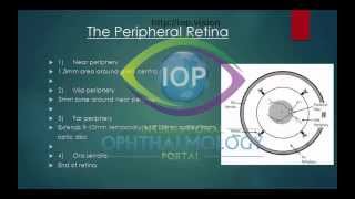 Retinal Anatomy [upl. by Ecyle]