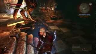 The Witcher 2 Enhanced Edition  Getting the Forgotten Vran Sword [upl. by Ylra136]