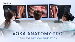 3D atlas of normal anatomy and gross pathology for medical education  VOKA Anatomy Pro [upl. by Aihsemek271]