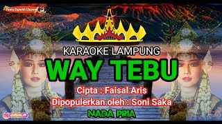 Karaoke Lampung  WAY TEBU  Cipta  Faisal Aris Dipopulerkan oleh  Soni Saka [upl. by Calore]