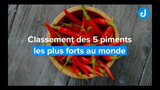 Top 5  classement des piments les plus forts au monde [upl. by Ordnael240]